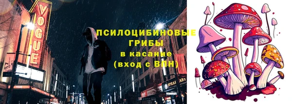 сатива Алексеевка