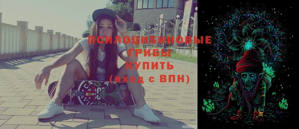 сатива Алексеевка