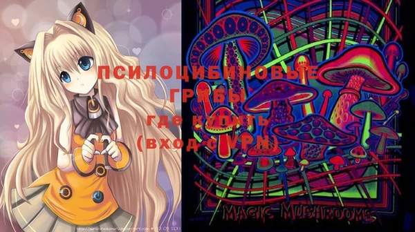 прущие грибы Алексин